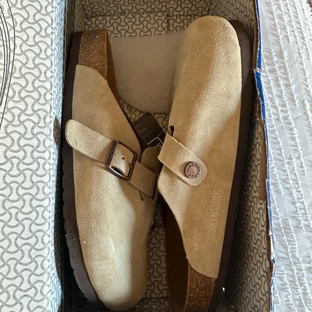 Boston birkenstock